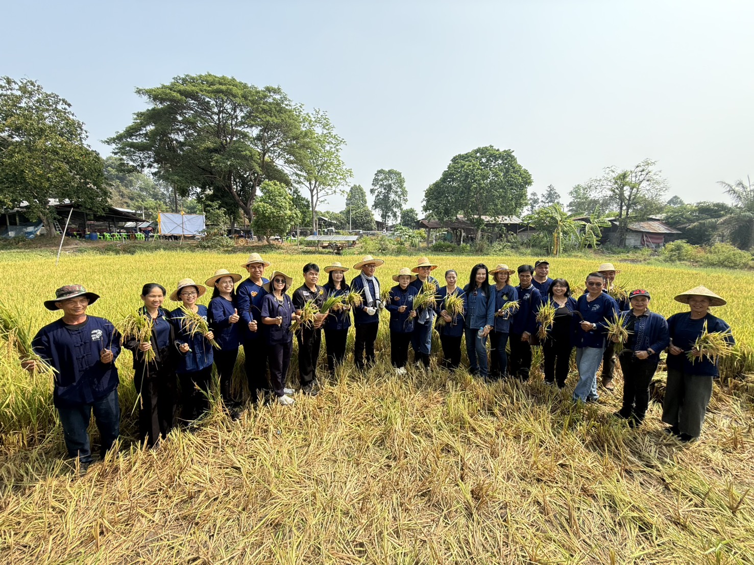 title - ส.ป.ก.ยโสธร ร่วมกิจกรรมเกี่ยวข้าว ภายใต้โครงการปลูกข้าวเฉลิมพระเกียรติ พระบาทสมเด็จพระเจ้าอยู่หัวฯ เนื่องในโอกาส มหามงคลเฉลิมพระชนมพรรษา 74 พรรษา